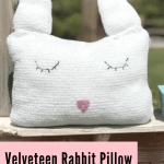 Velveteen rabbit pillow