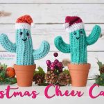 Christmas cactus